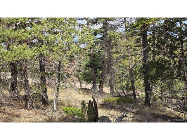 5505 Balleroy Rd, Fort Garland, CO 81133