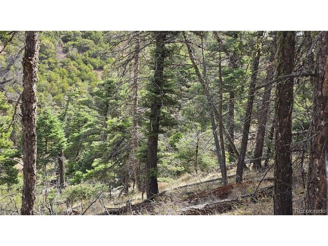 5505 Balleroy Rd, Fort Garland, CO 81133
