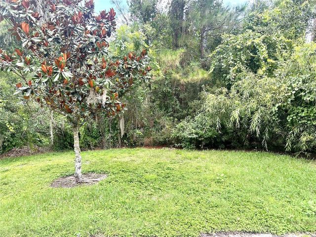 11773 BELLA MILANO COURT, Windermere, FL 34786