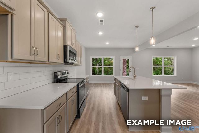 204 Irish Hill Drive, Meridianville, AL 35759