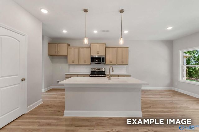 204 Irish Hill Drive, Meridianville, AL 35759