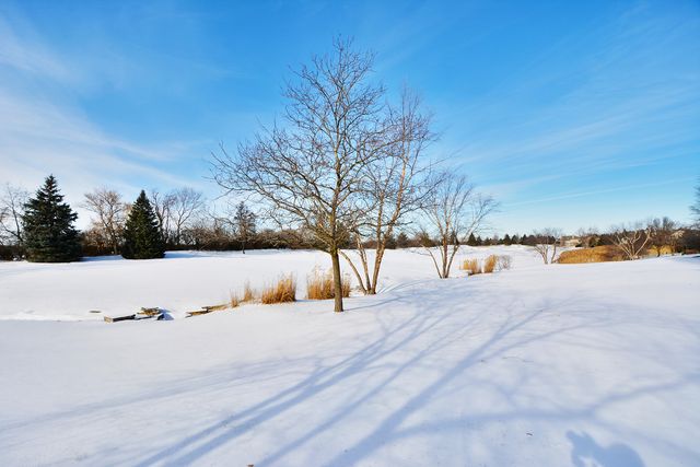 23 Red Tail Drive, Hawthorn Woods, IL 60047