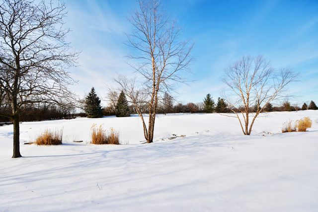 23 Red Tail Drive, Hawthorn Woods, IL 60047