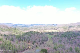 Cougar Trail 9.3, Del Rio, TN 37727