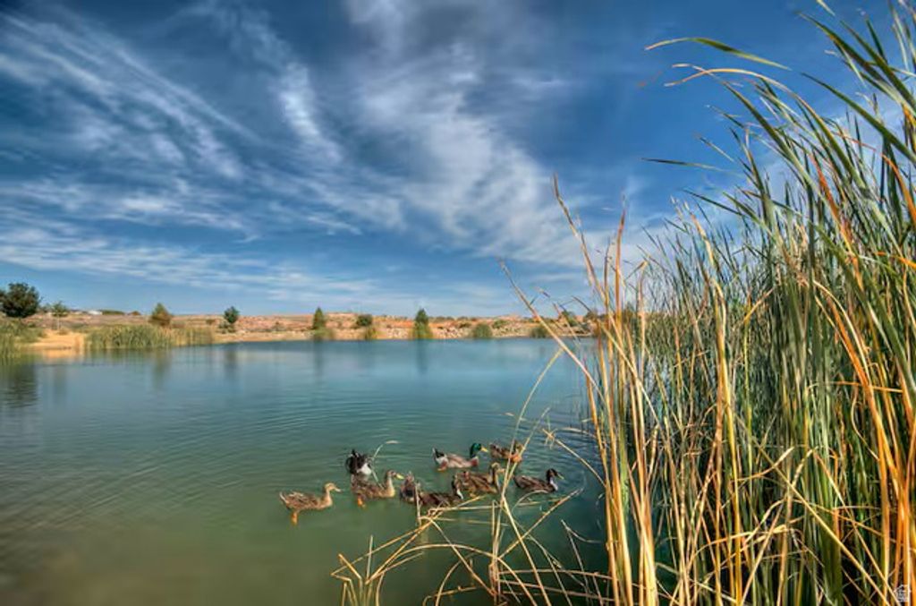 Image 36 of property listing at 4177 E CORAL DR, Washington, UT 84780