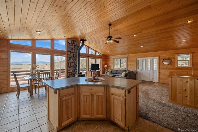 64 Flint Circle, Como, CO 80432