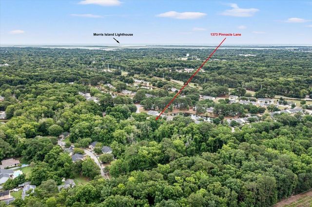 1373 Pinnacle Lane, Charleston, SC 29412