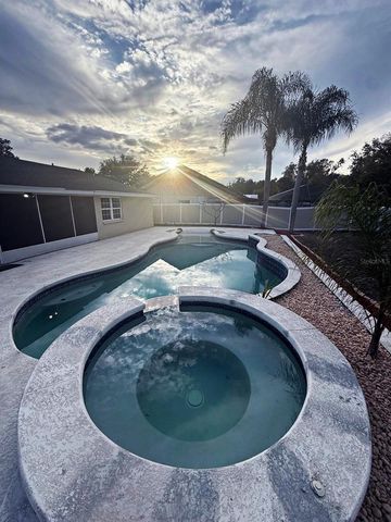 18803 TRACER DRIVE, Lutz, FL 33549