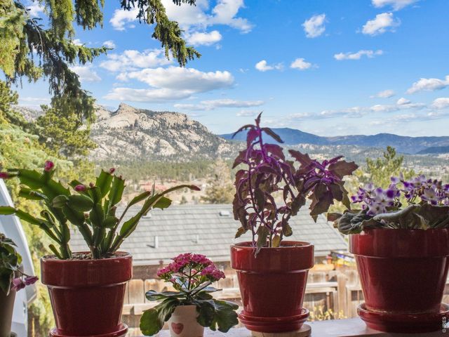 517 Birch Ave, Estes Park, CO 80517