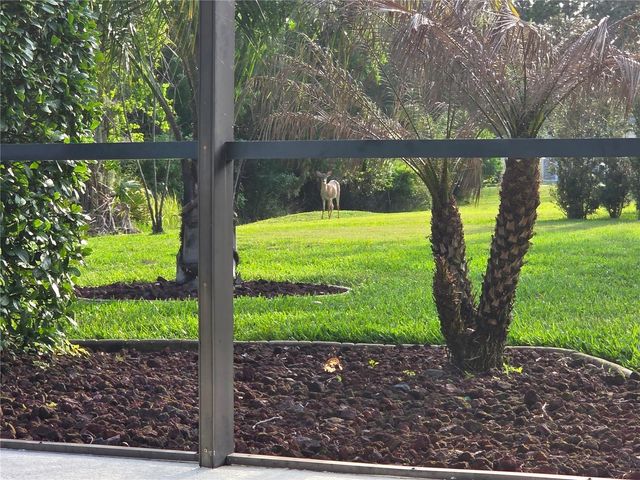 3785 HAMMONDS FERRY COURT, Oviedo, FL 32766