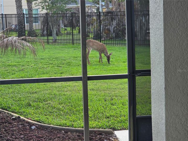 3785 HAMMONDS FERRY COURT, Oviedo, FL 32766