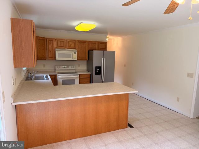 20029 LITTLE HILL RD, Frankford, DE 19945