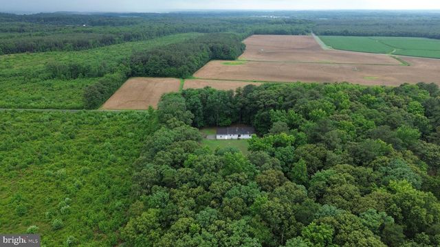 20029 LITTLE HILL RD, Frankford, DE 19945