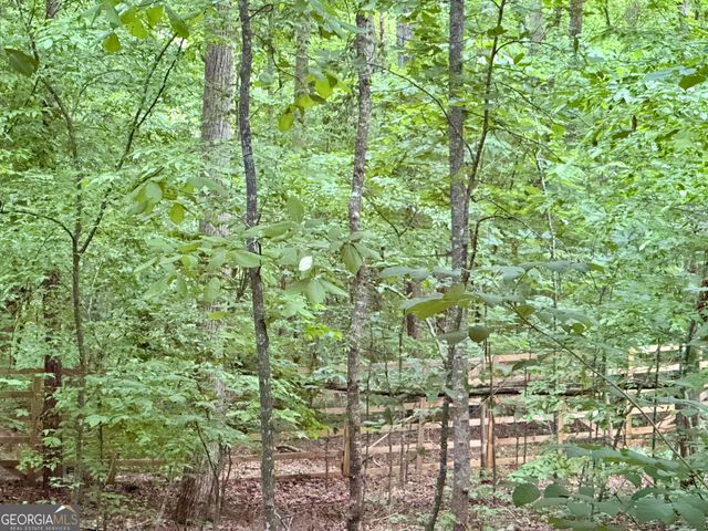 366 Dawson Manor Drive, Dawsonville, GA 30534