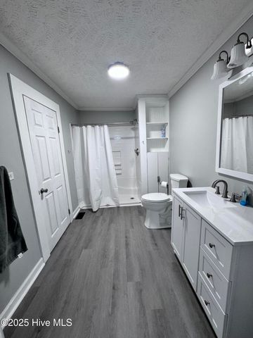 305 E Oak Street, Lake Waccamaw, NC 28450