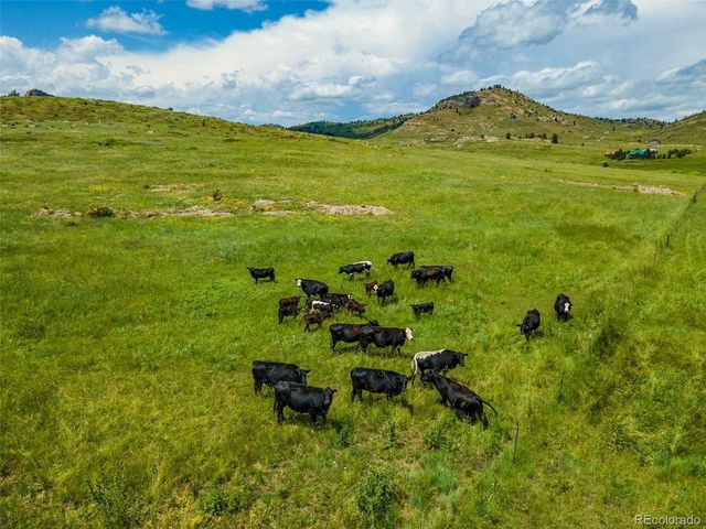 11881 W County Road 74e, Livermore, CO 80536