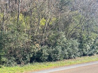 0 Signal Mountain Road, Chattanooga, TN 37405