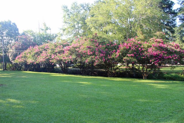 14 Robin Road, Barnwell, SC 29812