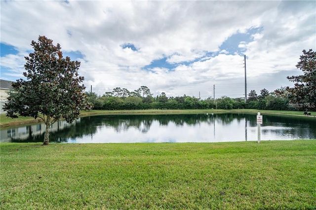 3595 SANCTUARY DRIVE, St Cloud, FL 34769