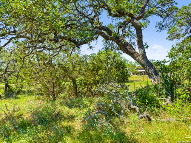 163 N Stallion Estates Drive, Spring Branch, TX 78070
