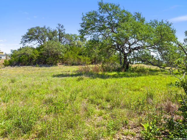 163 N Stallion Estates Drive, Spring Branch, TX 78070