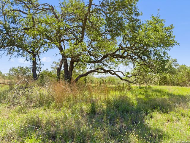 163 N Stallion Estates Drive, Spring Branch, TX 78070