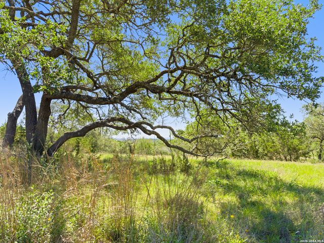 163 N Stallion Estates Drive, Spring Branch, TX 78070