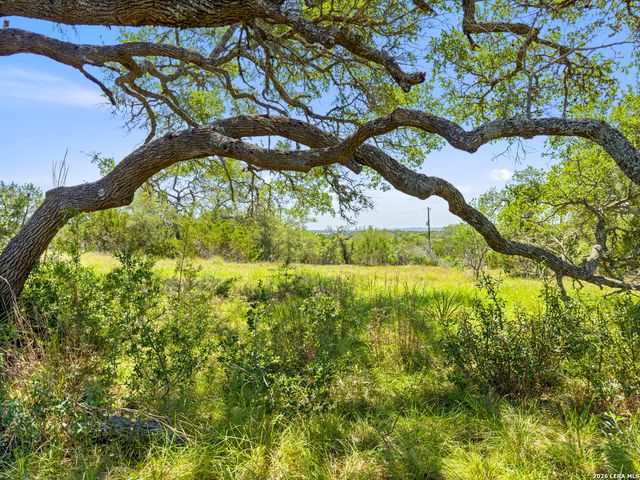 163 N Stallion Estates Drive, Spring Branch, TX 78070