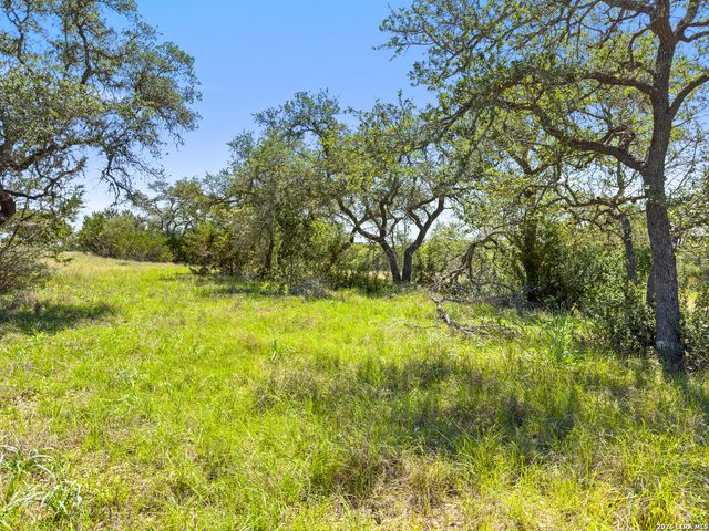 163 N Stallion Estates Drive, Spring Branch, TX 78070