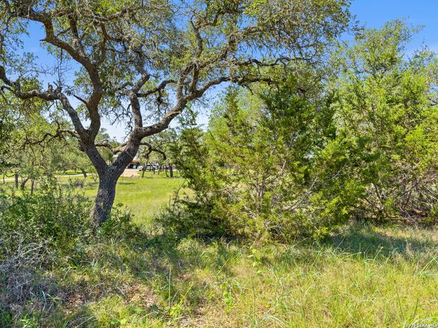 163 N Stallion Estates Drive, Spring Branch, TX 78070