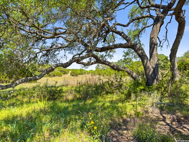 163 N Stallion Estates Drive, Spring Branch, TX 78070