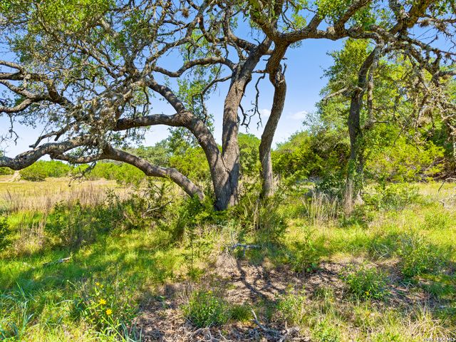 163 N Stallion Estates Drive, Spring Branch, TX 78070
