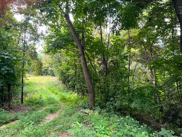 Tbd Tulip Poplar Trail Extension, Butler, TN 37640