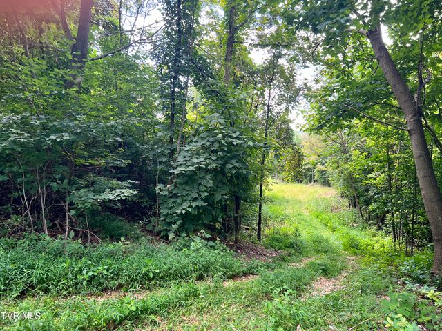 Tbd Tulip Poplar Trail Extension, Butler, TN 37640