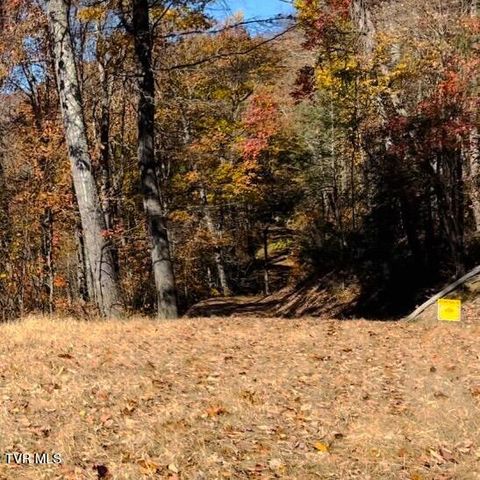 Tbd Tulip Poplar Trail Extension, Butler, TN 37640