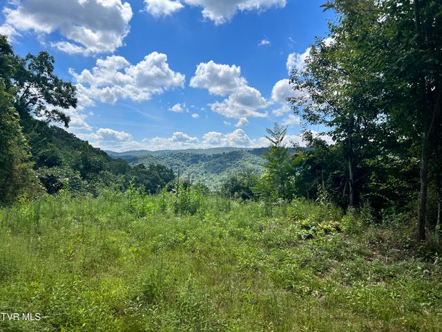 Tbd Tulip Poplar Trail Extension, Butler, TN 37640