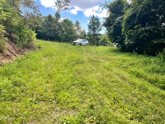 Tbd Tulip Poplar Trail Extension, Butler, TN 37640