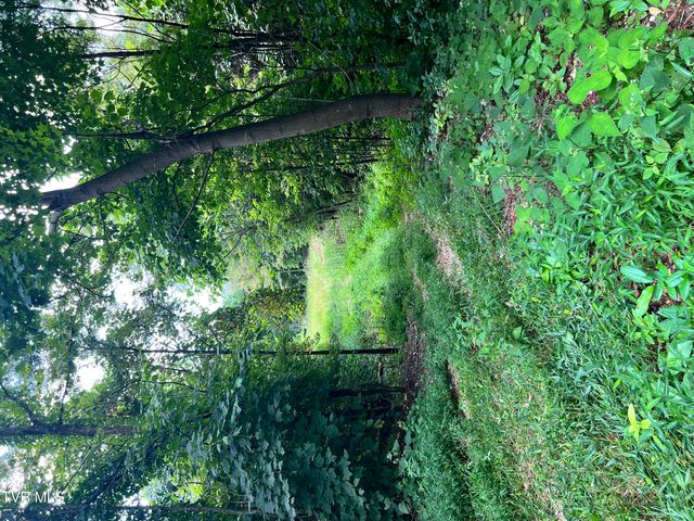 Tbd Tulip Poplar Trail Extension, Butler, TN 37640