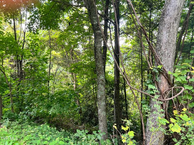 Tbd Tulip Poplar Trail Extension, Butler, TN 37640