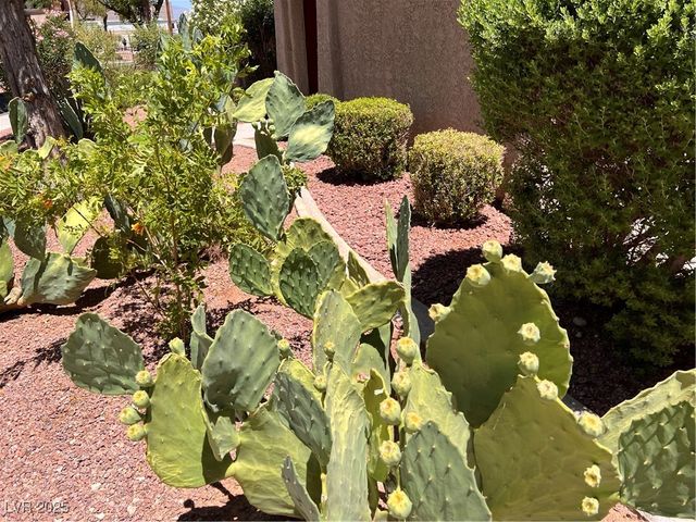 4361 Sanderling Circle 33, Las Vegas, NV 89103