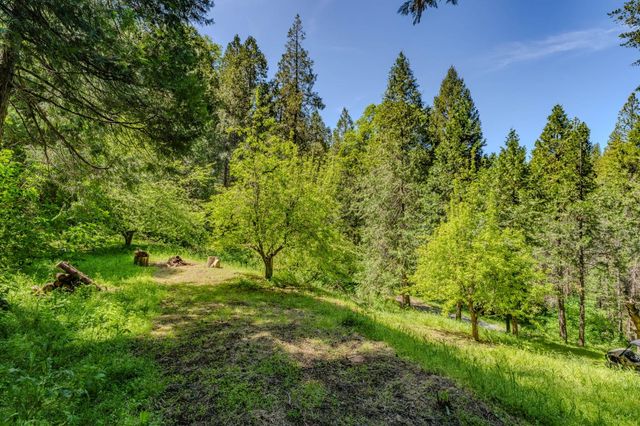 4040 Cedar Creek Rd, Mount Aukum, CA 95629