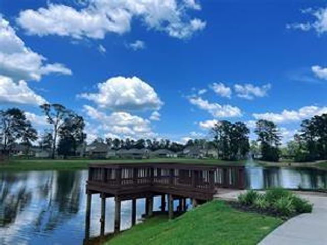 175 Ashe Juniper Way, Magnolia, TX 77354