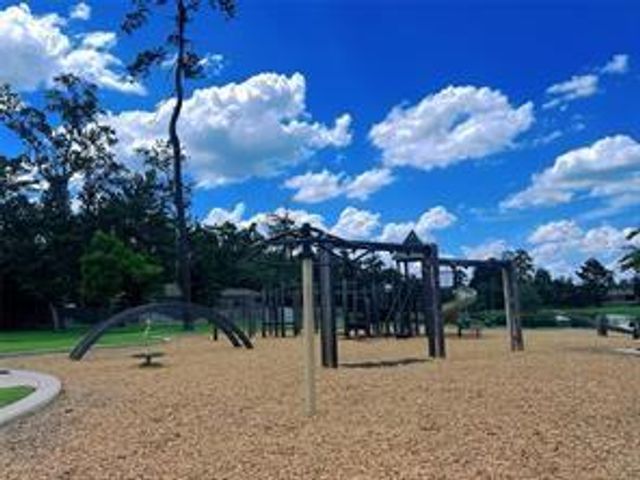 175 Ashe Juniper Way, Magnolia, TX 77354