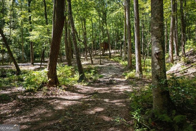 430 Sassafras Mountain Laurel Lane, Jasper, GA 30143