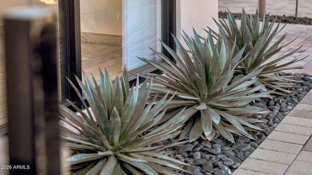 4717 E QUAILBRUSH Road, Cave Creek, AZ 85331