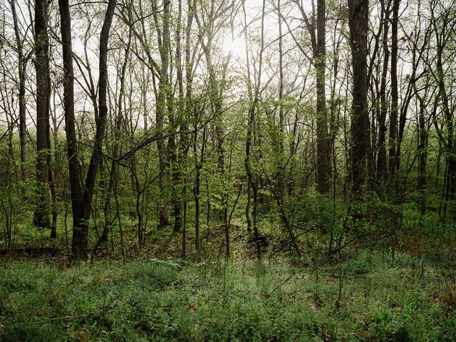846 R Wilkerson Dr, Centerville, TN 37033