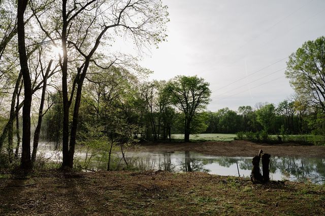 846 R Wilkerson Dr, Centerville, TN 37033