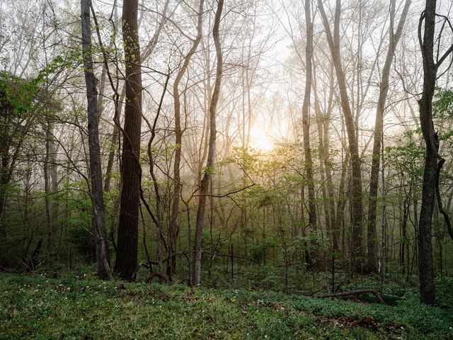 846 R Wilkerson Dr, Centerville, TN 37033