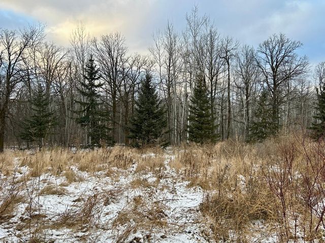 10496 160th Street NE, Thief River Falls, MN 56701