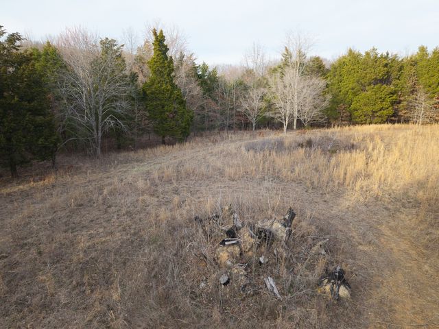 0 Mount Olive Rd, Westmoreland, TN 37186